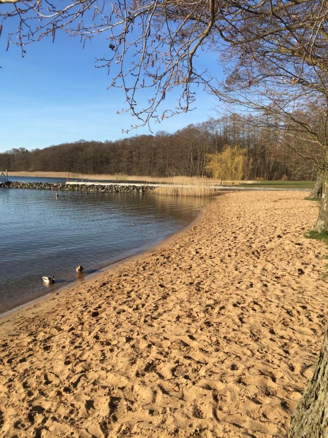 Ferienhaus Mit Bootssteg Am See In Rheinsberg Bagian luar foto